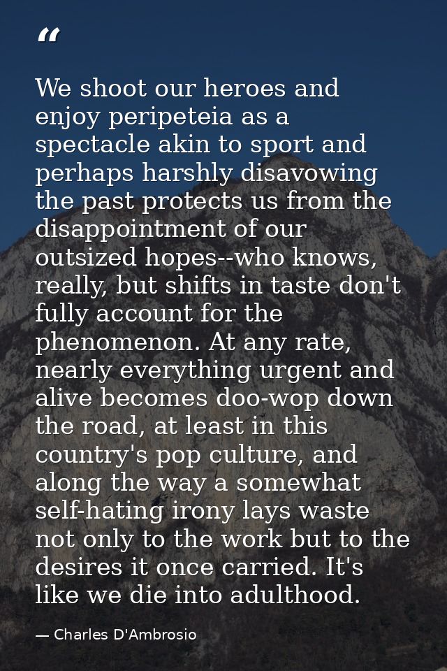 We shoot our heroes and enjoy peripeteia as a spectacle akin to sport and perhaps harshly disavowing the past protects u — Charles D'Ambrosio