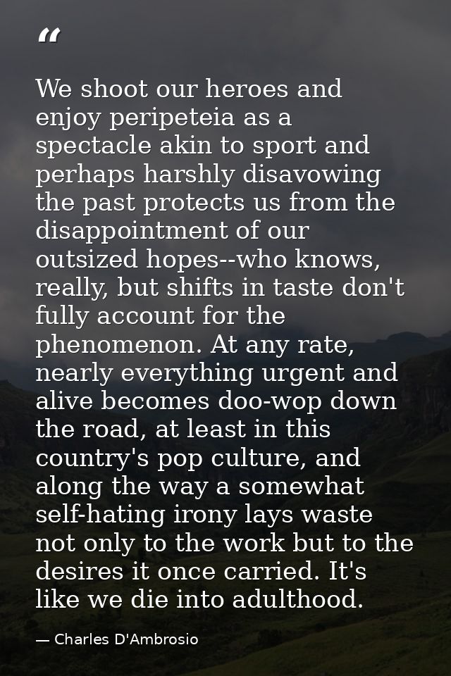 We shoot our heroes and enjoy peripeteia as a spectacle akin to sport and perhaps harshly disavowing the past protects u — Charles D'Ambrosio