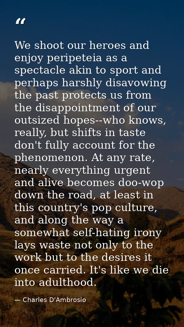 We shoot our heroes and enjoy peripeteia as a spectacle akin to sport and perhaps harshly disavowing the past protects u — Charles D'Ambrosio