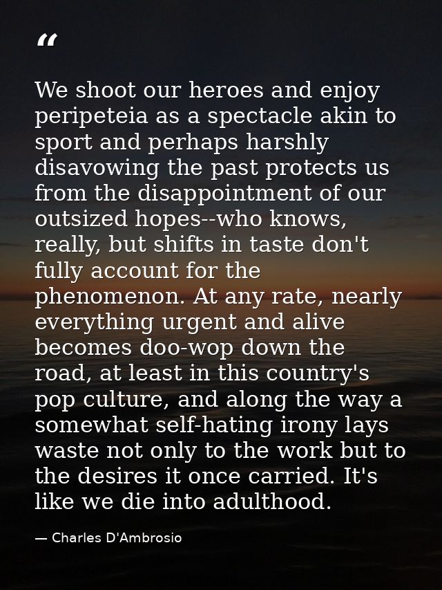 We shoot our heroes and enjoy peripeteia as a spectacle akin to sport and perhaps harshly disavowing the past protects u — Charles D'Ambrosio