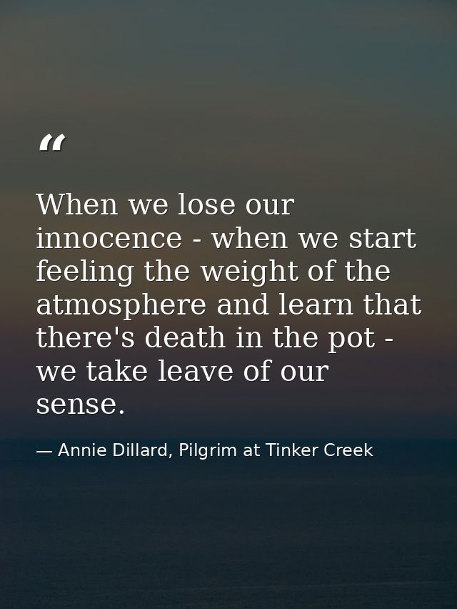 When we lose our innocence - when we start feeling the weight of the atmosphere and learn that there's death in the pot  — Annie Dillard, Pilgrim at Tinker Creek
