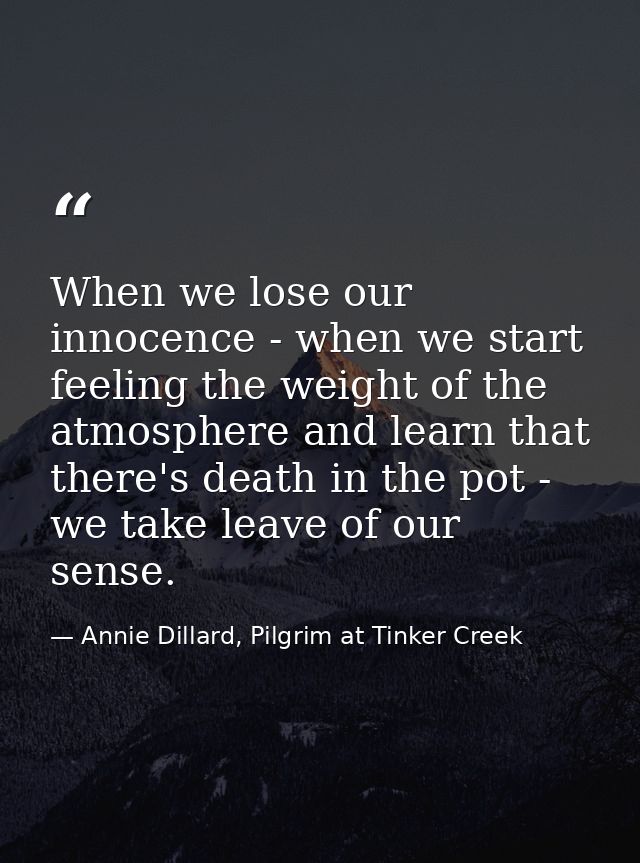 When we lose our innocence - when we start feeling the weight of the atmosphere and learn that there's death in the pot  — Annie Dillard, Pilgrim at Tinker Creek