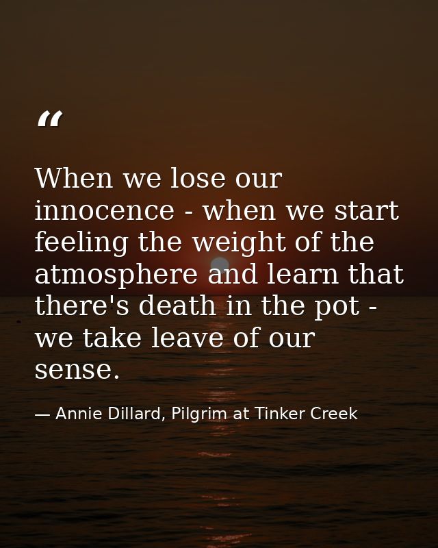 When we lose our innocence - when we start feeling the weight of the atmosphere and learn that there's death in the pot  — Annie Dillard, Pilgrim at Tinker Creek
