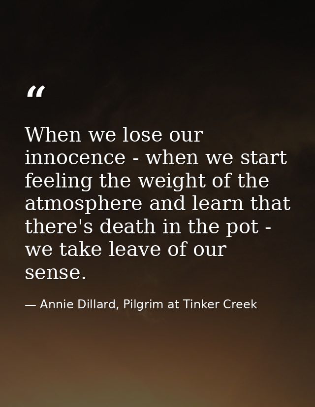 When we lose our innocence - when we start feeling the weight of the atmosphere and learn that there's death in the pot  — Annie Dillard, Pilgrim at Tinker Creek