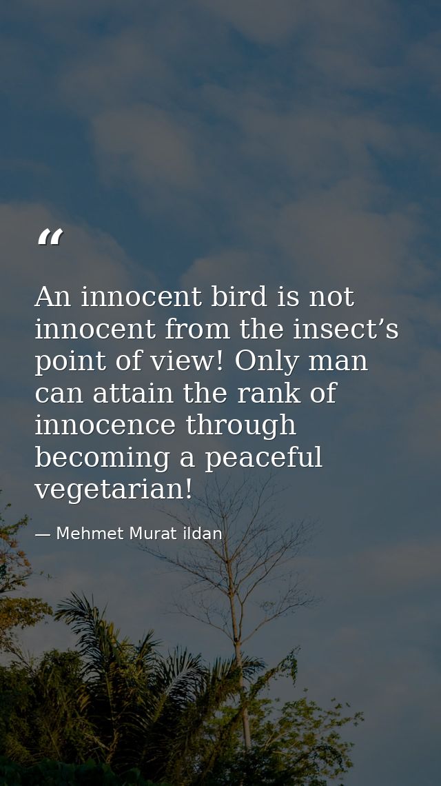 An innocent bird is not innocent from the insect’s point of view! Only man can attain the rank of innocence through beco — Mehmet Murat ildan