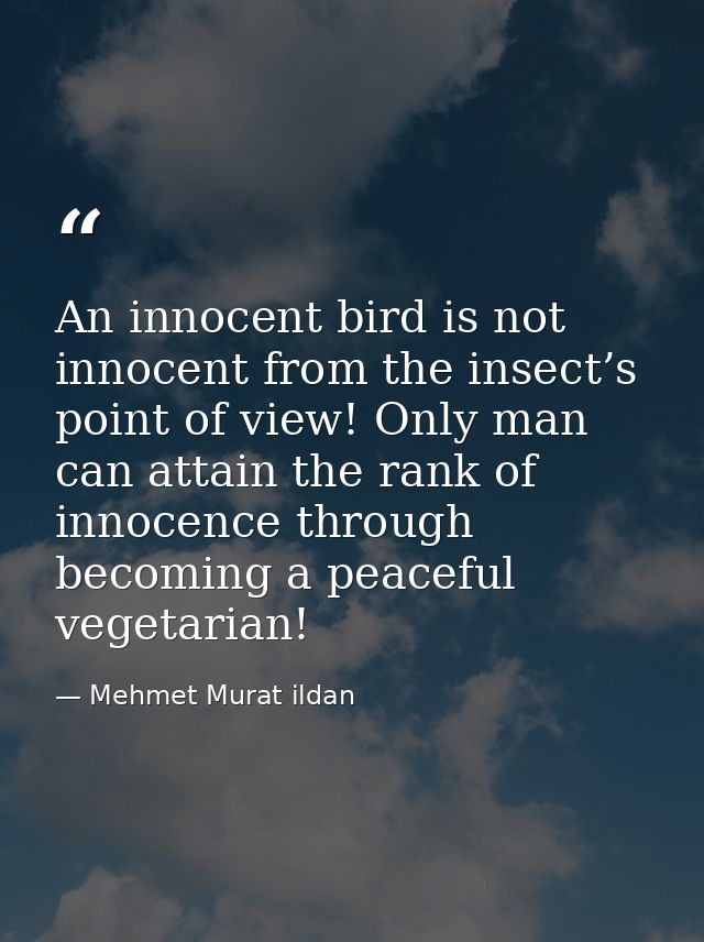 An innocent bird is not innocent from the insect’s point of view! Only man can attain the rank of innocence through beco — Mehmet Murat ildan