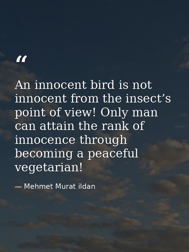 An innocent bird is not innocent from the insect’s point of view! Only man can attain the rank of innocence through beco — Mehmet Murat ildan