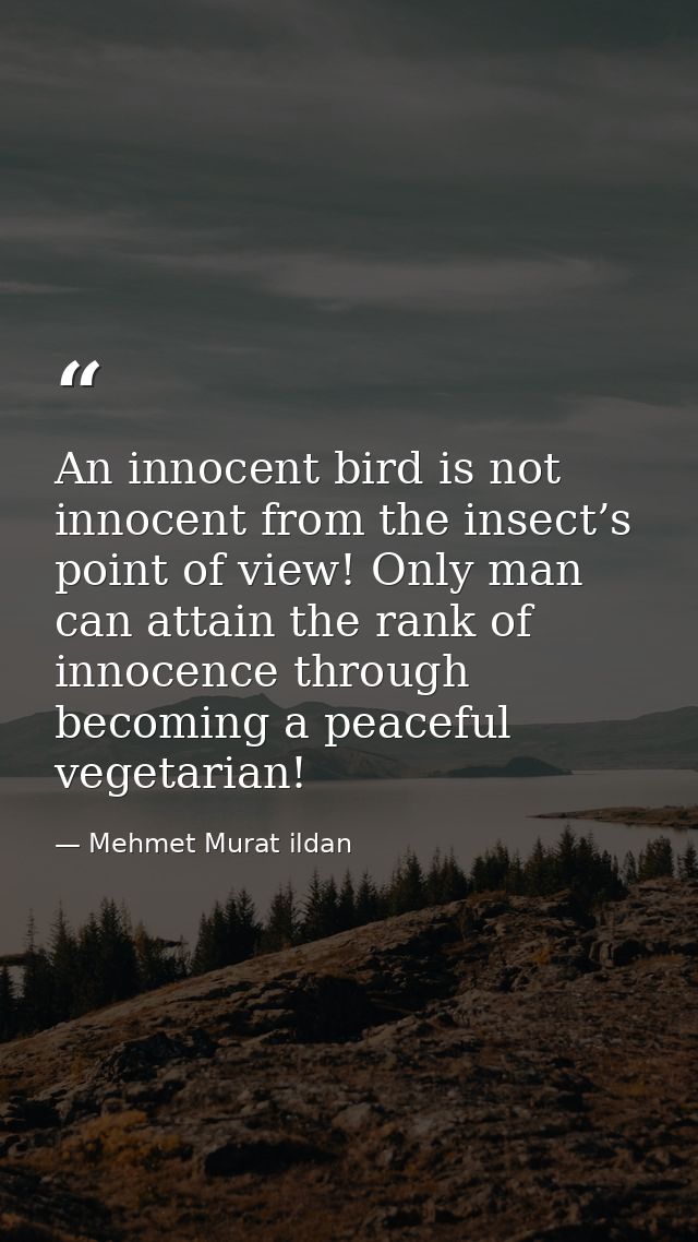 An innocent bird is not innocent from the insect’s point of view! Only man can attain the rank of innocence through beco — Mehmet Murat ildan
