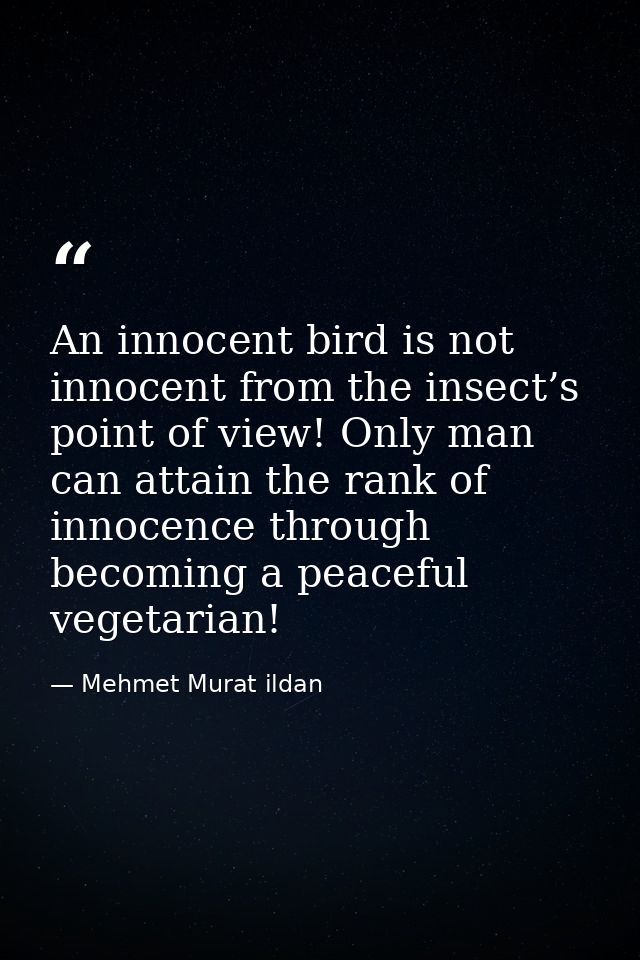 An innocent bird is not innocent from the insect’s point of view! Only man can attain the rank of innocence through beco — Mehmet Murat ildan