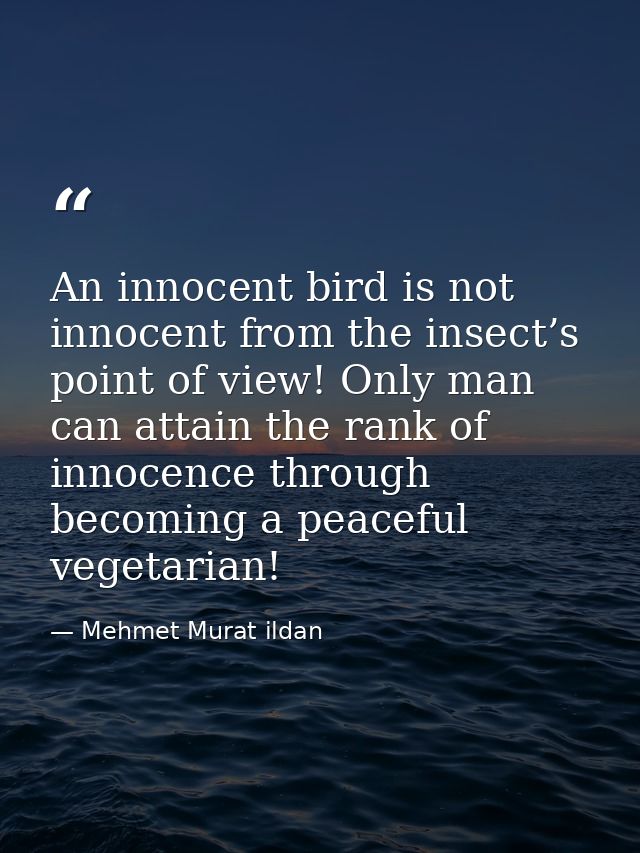 An innocent bird is not innocent from the insect’s point of view! Only man can attain the rank of innocence through beco — Mehmet Murat ildan