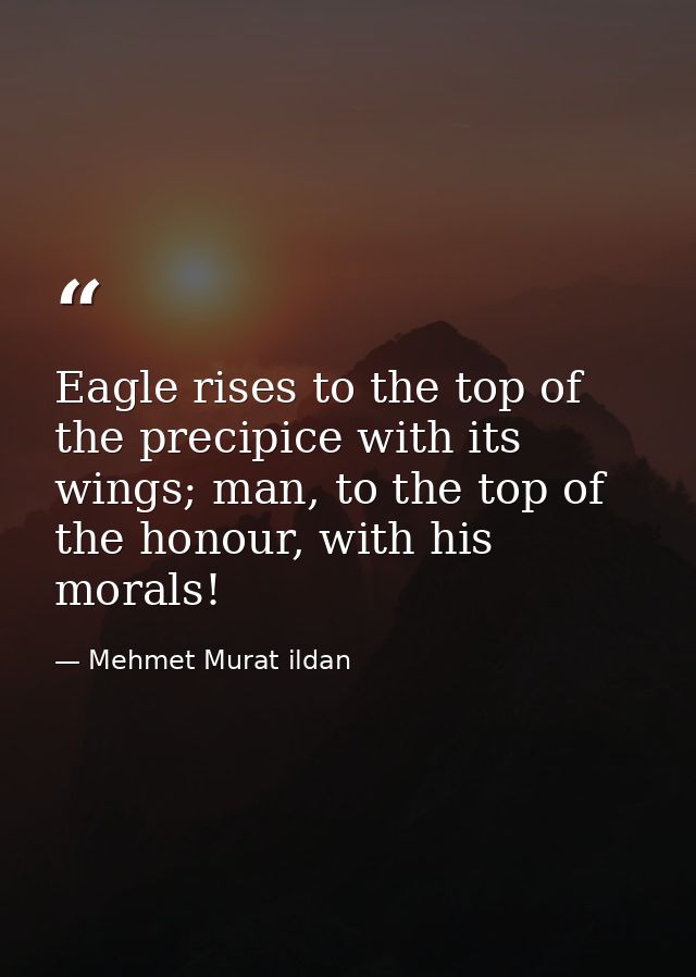 Eagle rises to the top of the precipice with its wings; man, to the top of the honour, with his morals! — Mehmet Murat ildan