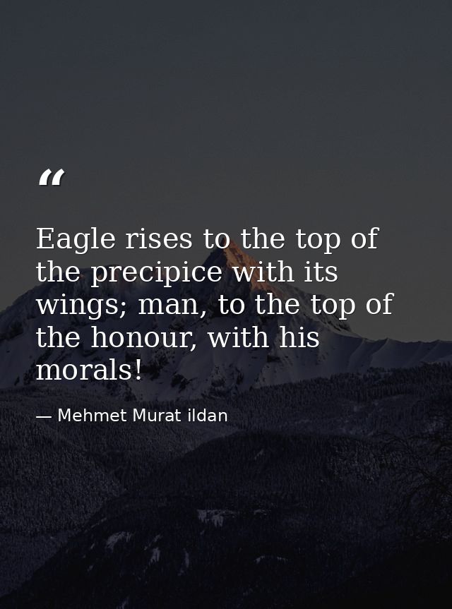 Eagle rises to the top of the precipice with its wings; man, to the top of the honour, with his morals! — Mehmet Murat ildan