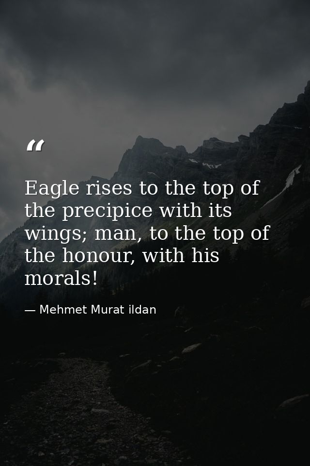 Eagle rises to the top of the precipice with its wings; man, to the top of the honour, with his morals! — Mehmet Murat ildan