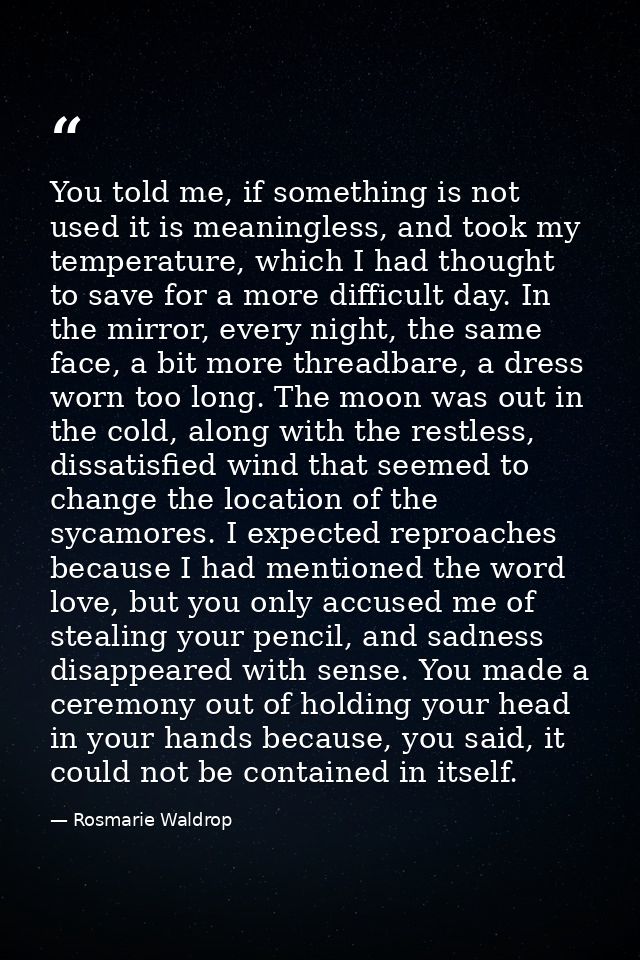 You told me, if something is not used it is meaningless, and took my temperature, which I had thought to save for a more — Rosmarie Waldrop