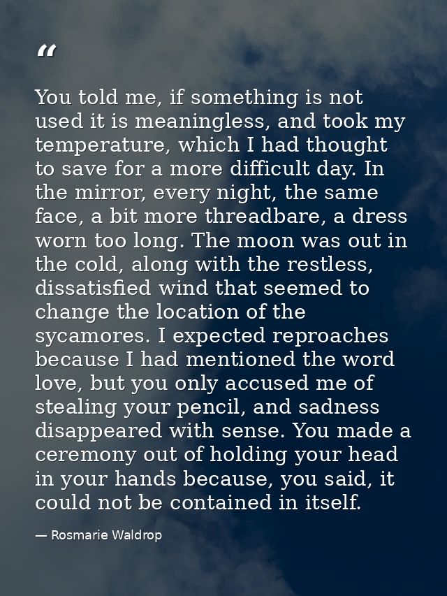 You told me, if something is not used it is meaningless, and took my temperature, which I had thought to save for a more — Rosmarie Waldrop