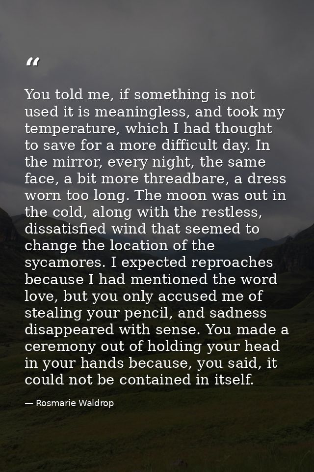 You told me, if something is not used it is meaningless, and took my temperature, which I had thought to save for a more — Rosmarie Waldrop