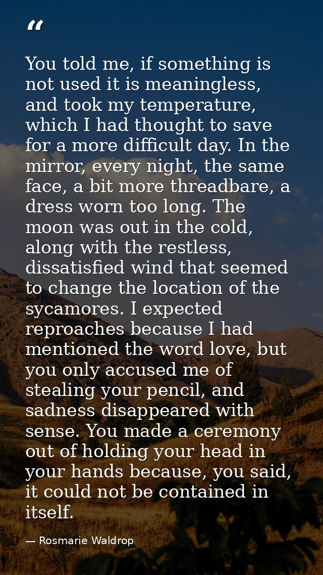 You told me, if something is not used it is meaningless, and took my temperature, which I had thought to save for a more — Rosmarie Waldrop