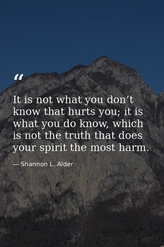 It is not what you don’t know that hurts you; it is what you do know, which is not the truth that does your spirit the m — Shannon L. Alder