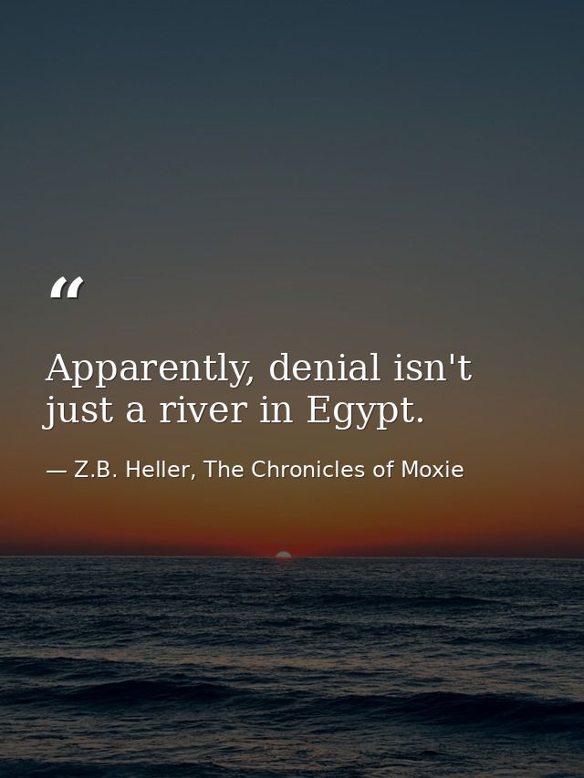 Apparently, denial isn't just a river in Egypt. — Z.B. Heller, The Chronicles of Moxie