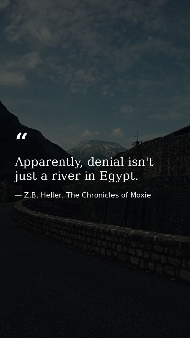 Apparently, denial isn't just a river in Egypt. — Z.B. Heller, The Chronicles of Moxie