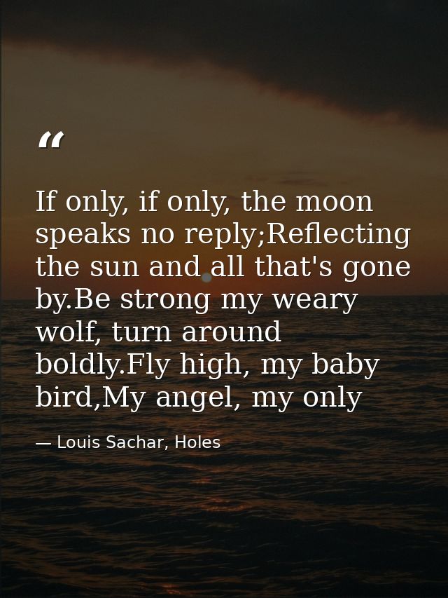 If only, if only, the moon speaks no reply;Reflecting the sun and all that's gone by.Be strong my weary wolf, turn aroun — Louis Sachar, Holes