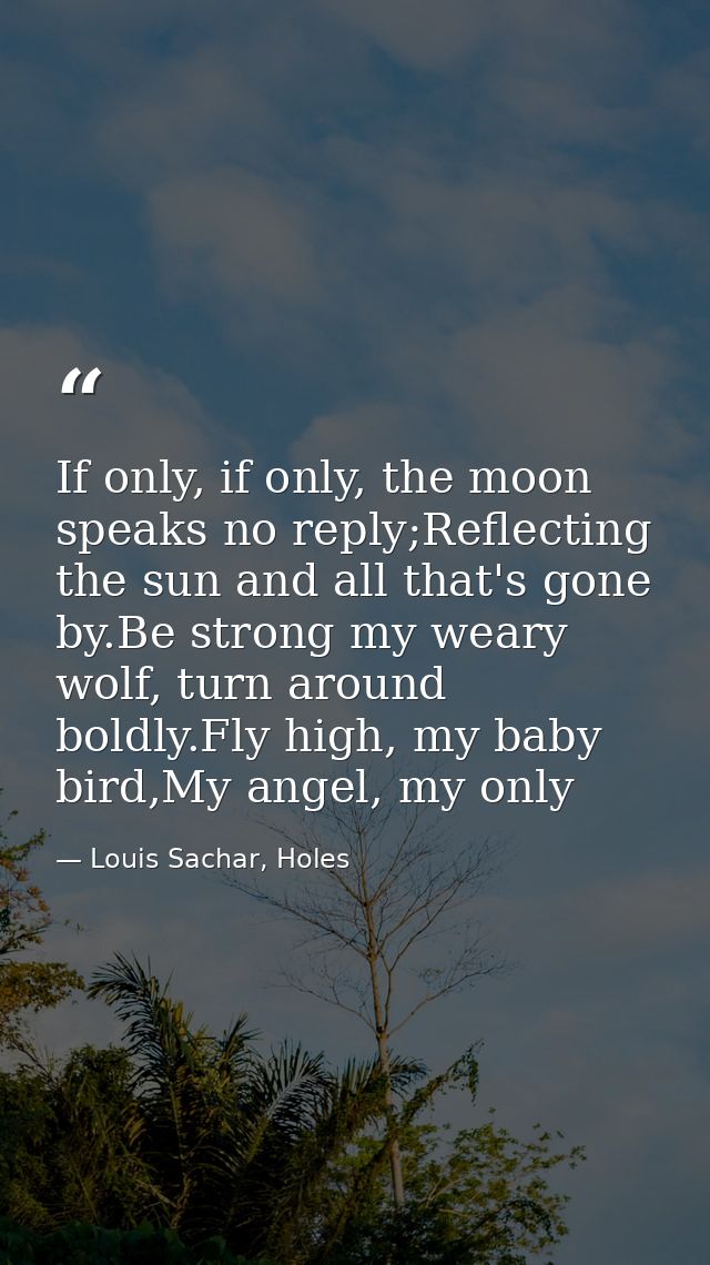 If only, if only, the moon speaks no reply;Reflecting the sun and all that's gone by.Be strong my weary wolf, turn aroun — Louis Sachar, Holes