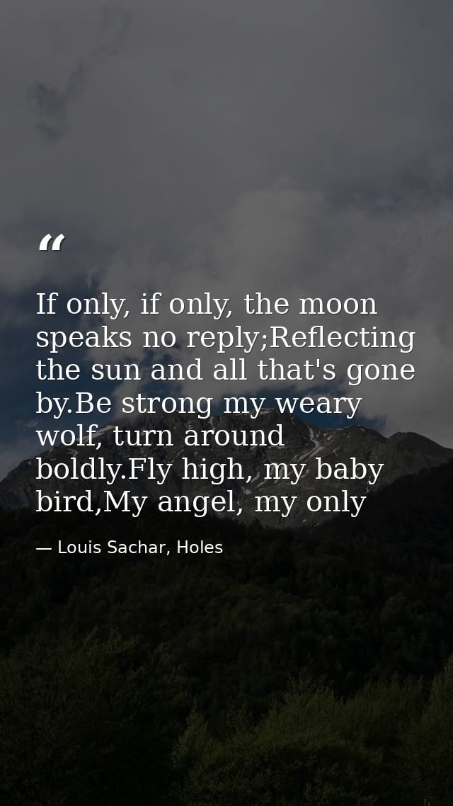 If only, if only, the moon speaks no reply;Reflecting the sun and all that's gone by.Be strong my weary wolf, turn aroun — Louis Sachar, Holes