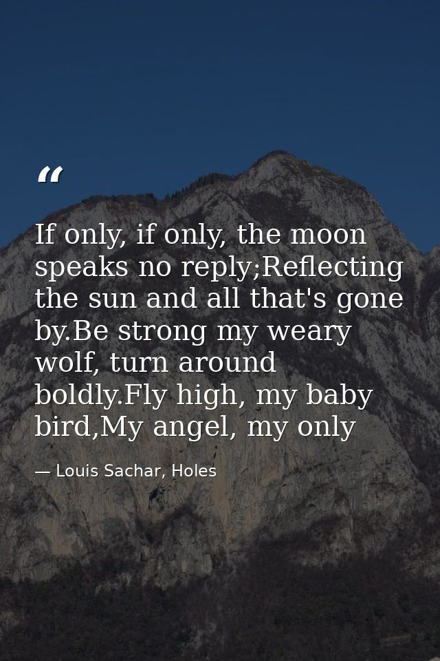 If only, if only, the moon speaks no reply;Reflecting the sun and all that's gone by.Be strong my weary wolf, turn aroun — Louis Sachar, Holes