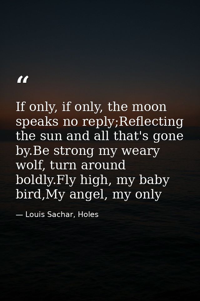 If only, if only, the moon speaks no reply;Reflecting the sun and all that's gone by.Be strong my weary wolf, turn aroun — Louis Sachar, Holes