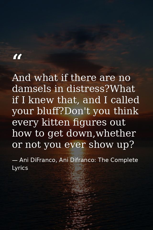 And what if there are no damsels in distress?What if I knew that, and I called your bluff?Don't you think every kitten f — Ani DiFranco, Ani Difranco: The Complete Lyrics