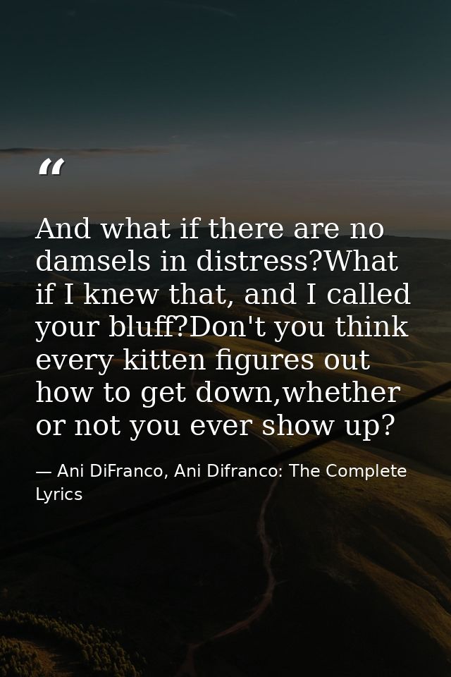 And what if there are no damsels in distress?What if I knew that, and I called your bluff?Don't you think every kitten f — Ani DiFranco, Ani Difranco: The Complete Lyrics