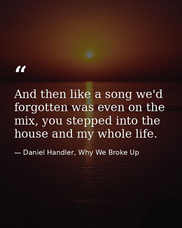 And then like a song we'd forgotten was even on the mix, you stepped into the house and my whole life. — Daniel Handler, Why We Broke Up