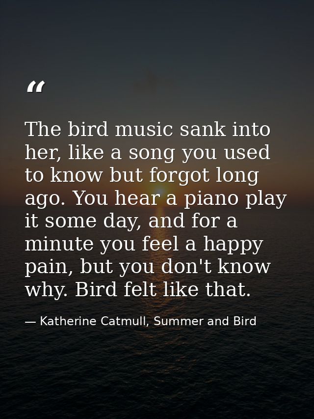 The bird music sank into her, like a song you used to know but forgot long ago. You hear a piano play it some day, and f — Katherine Catmull, Summer and Bird