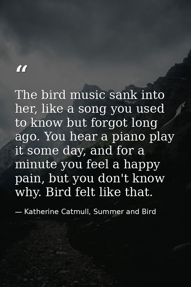 The bird music sank into her, like a song you used to know but forgot long ago. You hear a piano play it some day, and f — Katherine Catmull, Summer and Bird