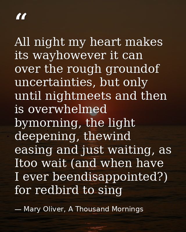 All night my heart makes its wayhowever it can over the rough groundof uncertainties, but only until nightmeets and then — Mary Oliver, A Thousand Mornings