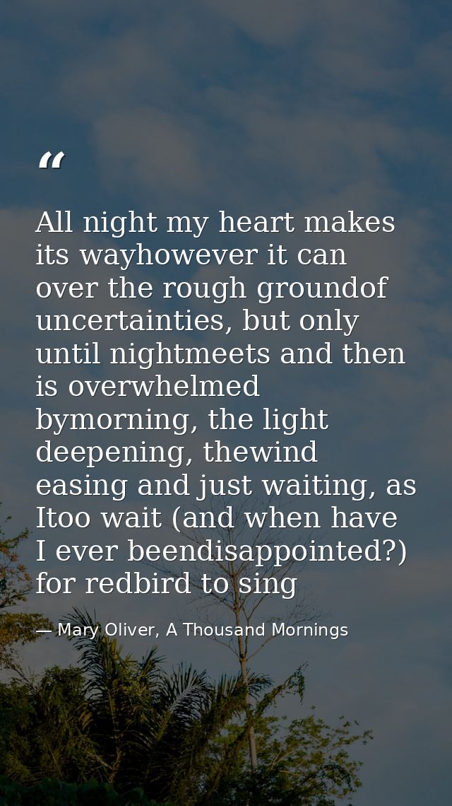 All night my heart makes its wayhowever it can over the rough groundof uncertainties, but only until nightmeets and then — Mary Oliver, A Thousand Mornings