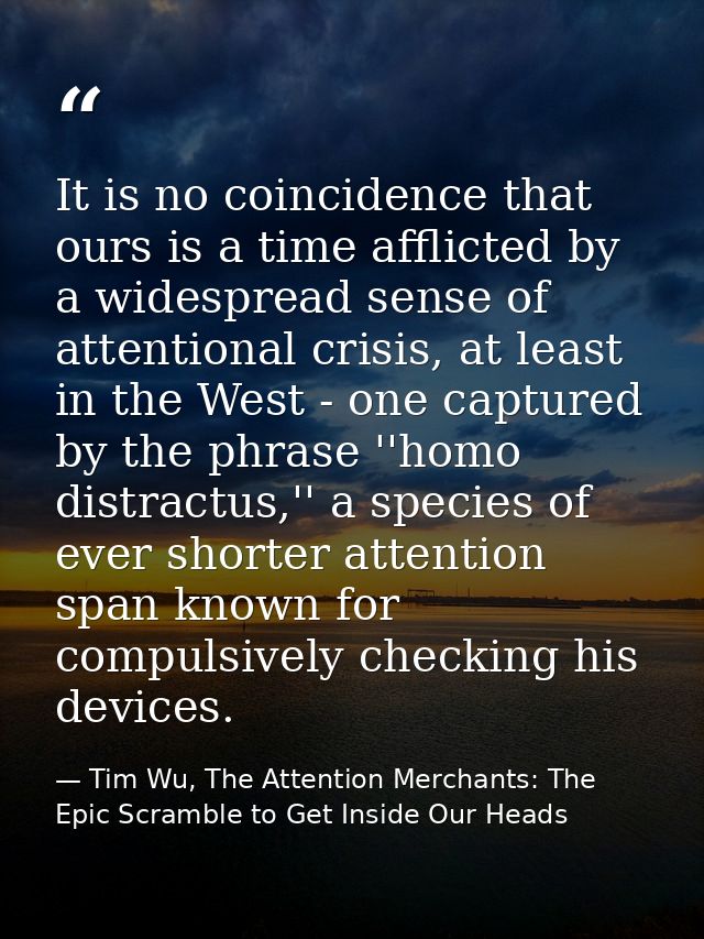 It is no coincidence that ours is a time afflicted by a widespread sense of attentional crisis, at least in the West - o — Tim Wu, The Attention Merchants: The Epic Scramble to Get Inside Our Heads