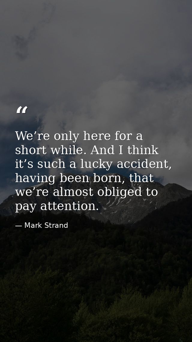 We’re only here for a short while. And I think it’s such a lucky accident, having been born, that we’re almost obliged t — Mark Strand
