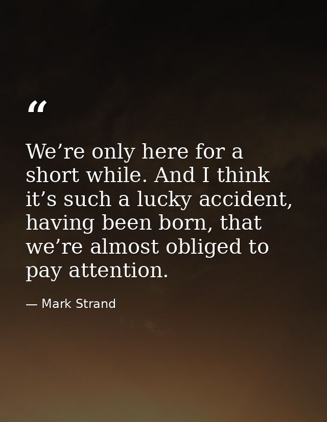 We’re only here for a short while. And I think it’s such a lucky accident, having been born, that we’re almost obliged t — Mark Strand