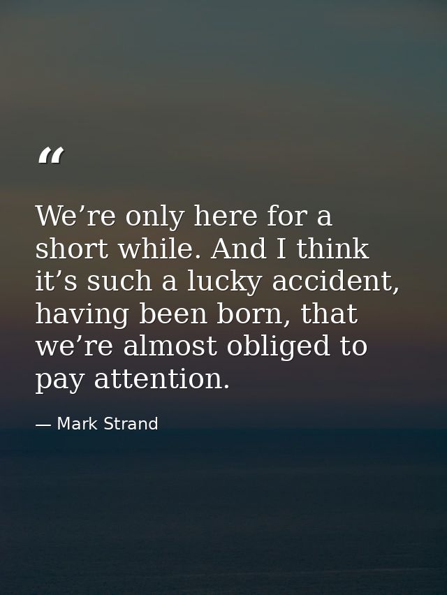 We’re only here for a short while. And I think it’s such a lucky accident, having been born, that we’re almost obliged t — Mark Strand