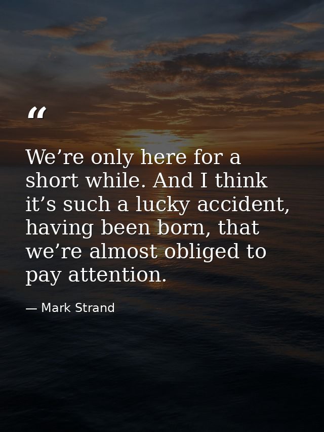 We’re only here for a short while. And I think it’s such a lucky accident, having been born, that we’re almost obliged t — Mark Strand