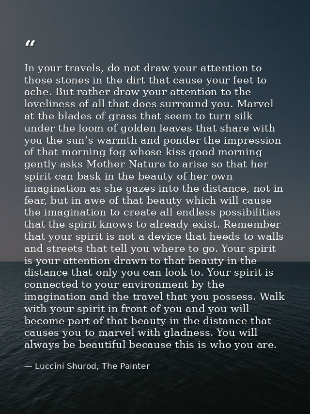 In your travels, do not draw your attention to those stones in the dirt that cause your feet to ache. But rather draw yo — Luccini Shurod, The Painter