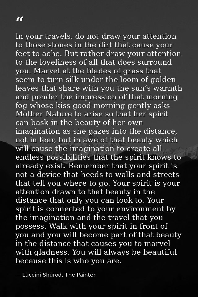 In your travels, do not draw your attention to those stones in the dirt that cause your feet to ache. But rather draw yo — Luccini Shurod, The Painter