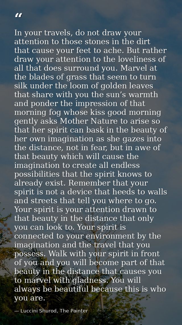 In your travels, do not draw your attention to those stones in the dirt that cause your feet to ache. But rather draw yo — Luccini Shurod, The Painter