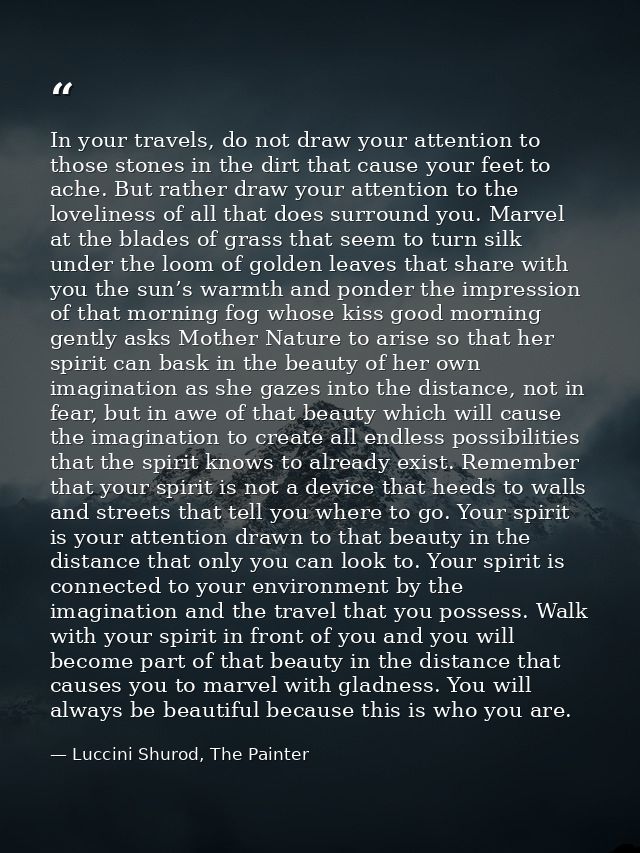 In your travels, do not draw your attention to those stones in the dirt that cause your feet to ache. But rather draw yo — Luccini Shurod, The Painter