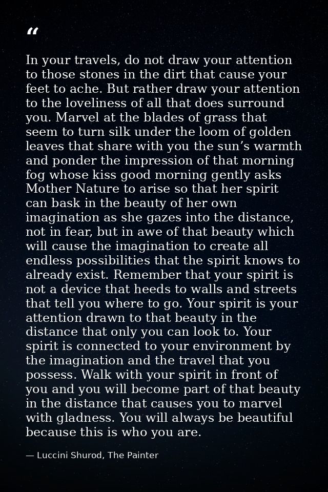 In your travels, do not draw your attention to those stones in the dirt that cause your feet to ache. But rather draw yo — Luccini Shurod, The Painter