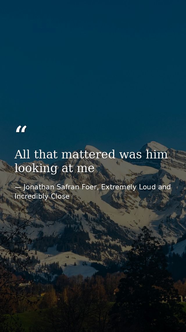 All that mattered was him looking at me — Jonathan Safran Foer, Extremely Loud and Incredibly Close