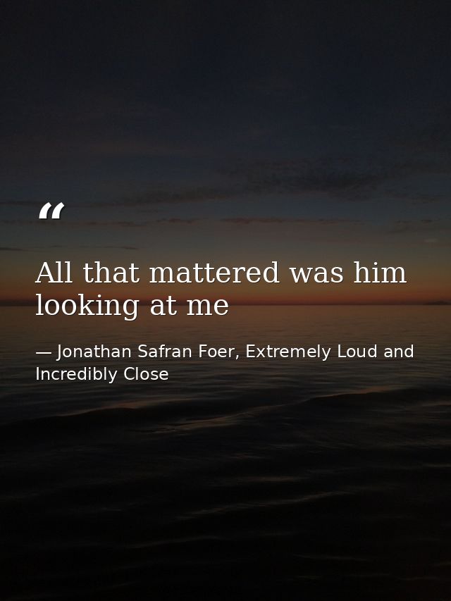 All that mattered was him looking at me — Jonathan Safran Foer, Extremely Loud and Incredibly Close