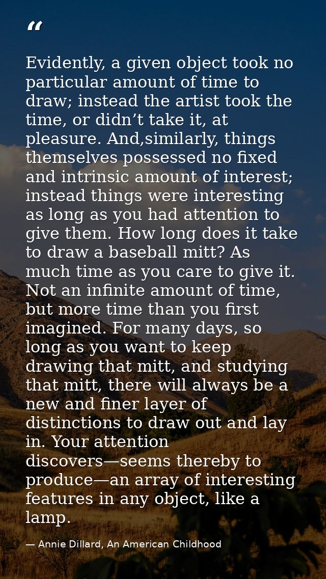 Evidently, a given object took no particular amount of time to draw; instead the artist took the time, or didn’t take it — Annie Dillard, An American Childhood