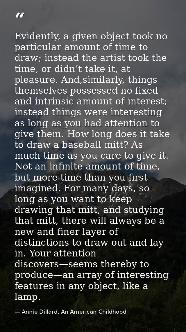 Evidently, a given object took no particular amount of time to draw; instead the artist took the time, or didn’t take it — Annie Dillard, An American Childhood